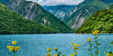 文縣天池國家森林公園