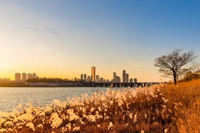 Yeouido Hangang Park