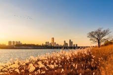 汝矣岛汉江公园-首尔