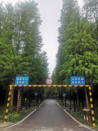 梦里水乡一日游