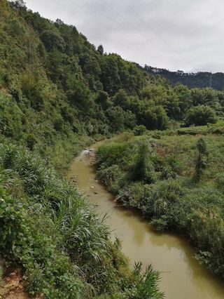 用高德地图导航，让我们在广西的山里和高速上多走了太多冤枉路