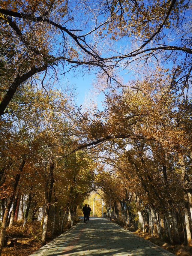 水磨沟风景区旅行图片 9