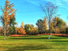 北京园博园-北京-YoYo_7H3C9U2Z