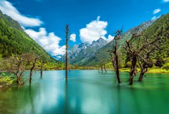 四姑娘山景区一日游【成都-四姑娘山-成都丨小包丨拼团直通车】【自由行推荐，没有任何隐形消费，行程轻松，出行方便。】