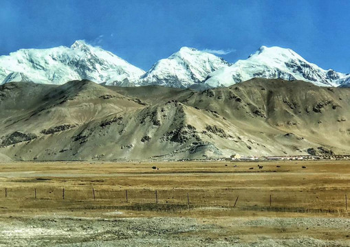 云游四海(1418)重游南疆之十三:塔合曼树洞和湿地