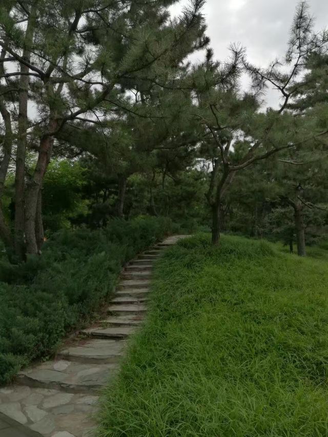 双秀公园旅行图片 8