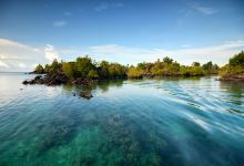 帕劳南部泻湖石岛群景点图片