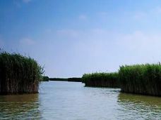 中国·水上王城巨淀湖风景区-寿光-linglizi