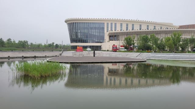 九棵树艺术公园旅行图片 1