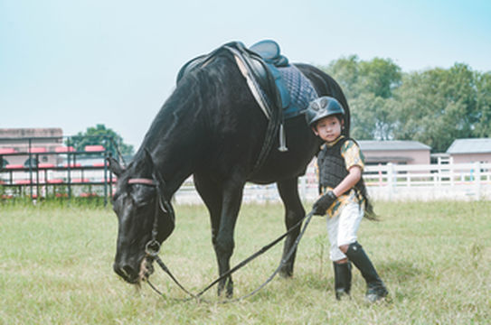 英伦骑士超萌牧场，还有碧水白沙等你浪，这样的太阳岛有谁不爱
