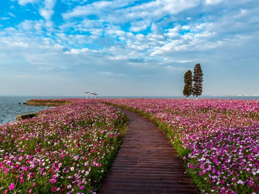 淀山湖风景区
