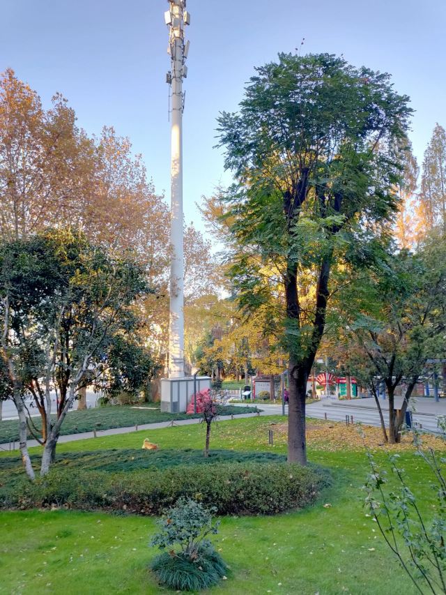 汉阳门花园旅行图片 5