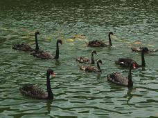 茂名森林公园-茂名-C-IMAGE