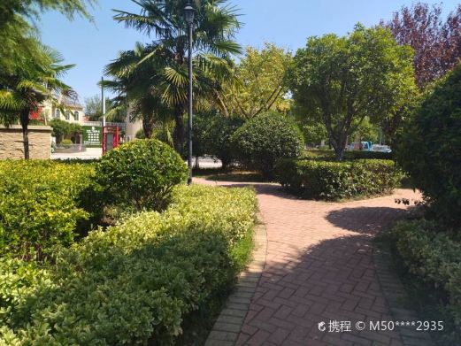 飞凤游园