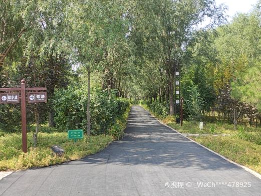 玉壶湿地公园