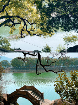 宁波最值得去的小众赏秋地，趁着秋意正盛，遇见秋日童话