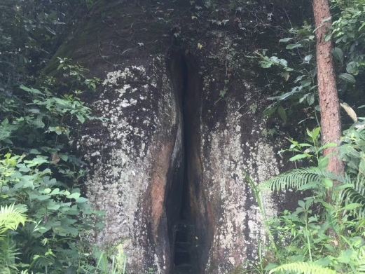 阴元石