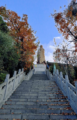 过年休闲游： 赏景玩乐拍照住宿，西安周至四条线各有特色任你选