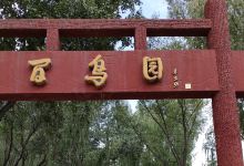太原森林公园-百鸟园景点图片
