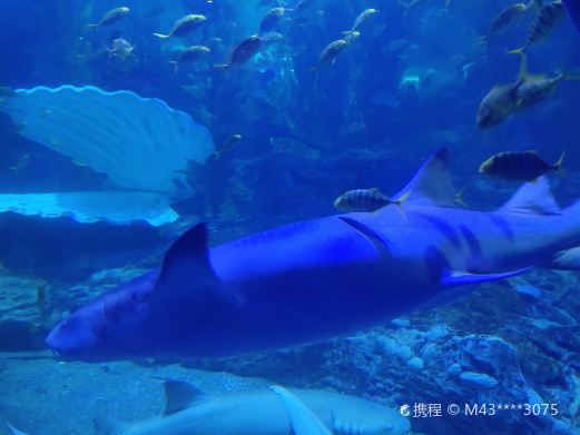 乌鲁木齐海洋馆
