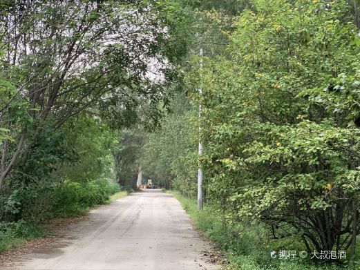 野草河湿地风景区
