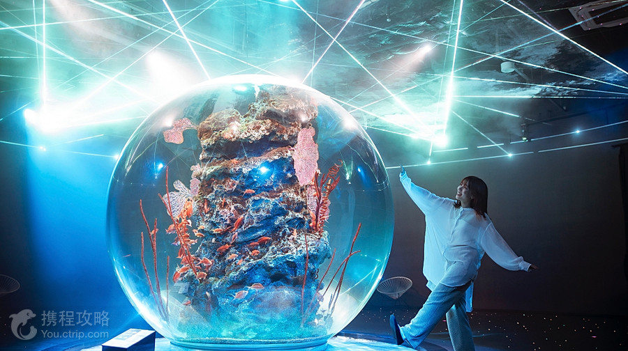 神戶都市型水族館AQUARIUM×ART átoa