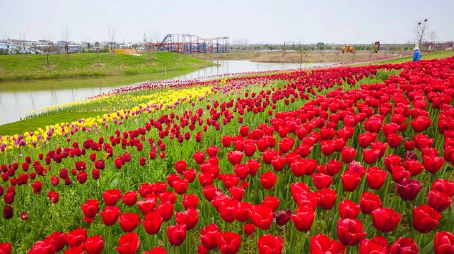 沔州百万花海风景区