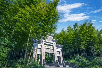 茶山竹海