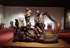 老挝万象神木博物馆-万象