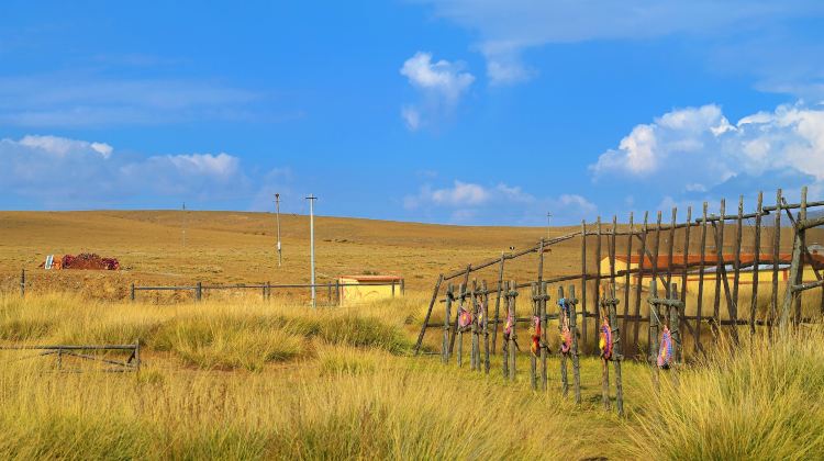 5D4N · Private Tours · 5-Star Hotel Upgrade-Beijing Departure,Xilamuren Grassland Horse Riding & Whistling Dune Bay Unlimited Fun