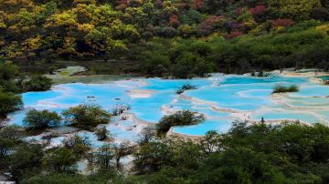 Five-Color Pond