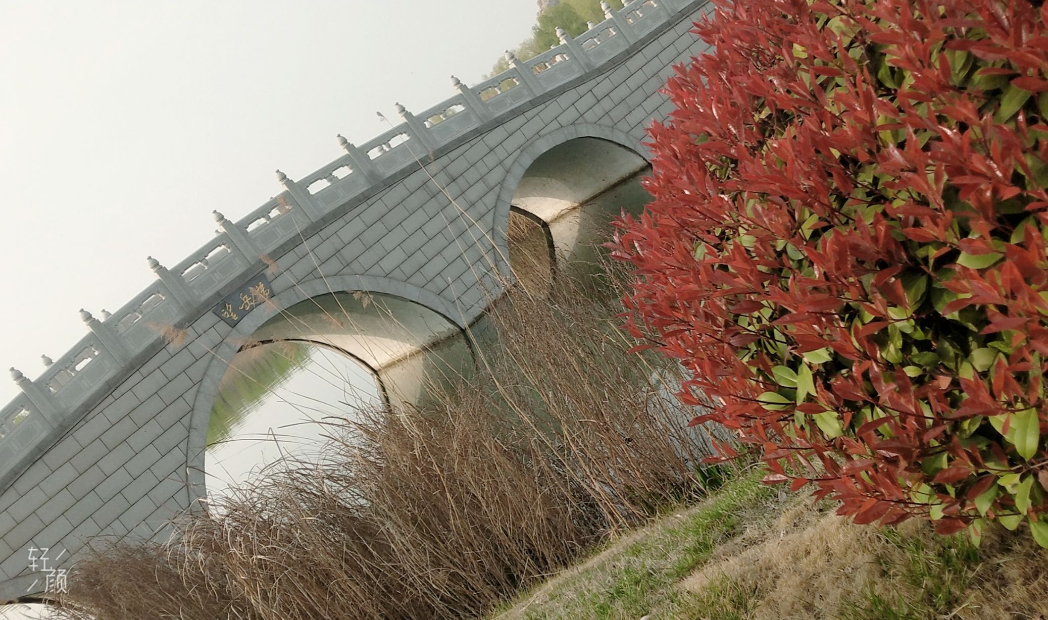 汶上莲花湖湿地景区