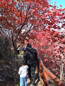 黄花溪-青州-开心皓洁