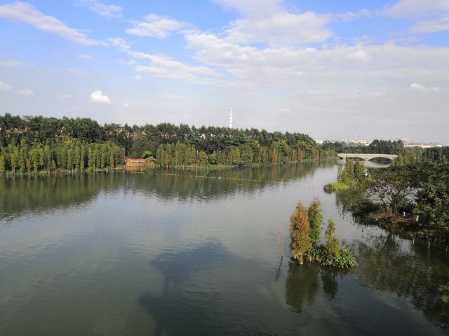 华阳湖国家湿地公园旅行图片 4
