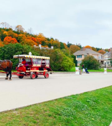 密歇根湖游记图文-2020 北密环湖赏枫之旅 - 第5篇 - 浪漫之岛：如果一生只够爱一个人