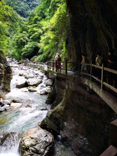 黑山谷风景区-重庆-yuntianling