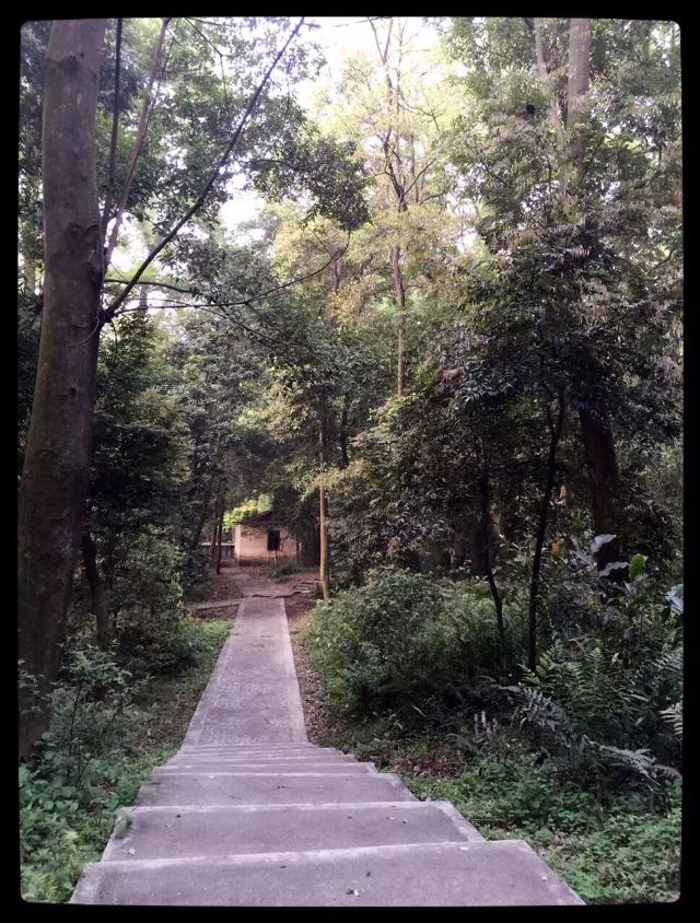 南华禅寺旅行图片 3
