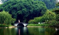 金雁湖公园-广汉-吃饭了没上市