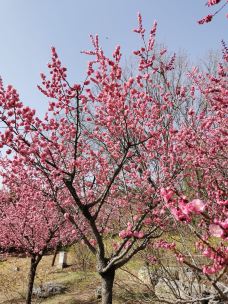 北京鹫峰国家森林公园-北京-YoYo_2W2Q3L5U