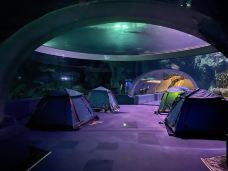 珠海长隆海洋王国·鲸鲨馆-珠海-兔酱不乖