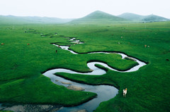 岷县游记图片] 小河跳秧歌，扭出妖娆步伐：航拍狼渡湿地，大地脉络一目了然