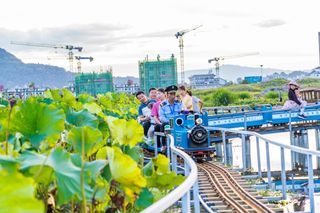 坐火车赏荷！打卡腾冲市十里荷花乡村旅游示范村