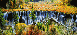 绝美!阿坝州向你发出位置共享!一路秋色看到爽!