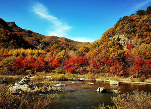 本溪县游记图文-云游四海（1560）金秋枫叶行之三——本溪湖里景区