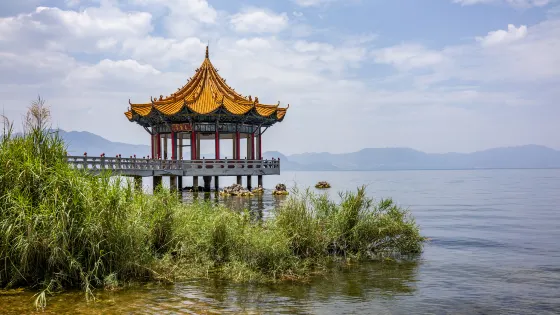 撫仙湖國家濕地公園