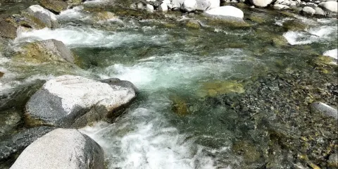 西丹沢溪流釣場