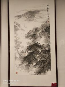 淮北市博物馆-淮北-银杏木