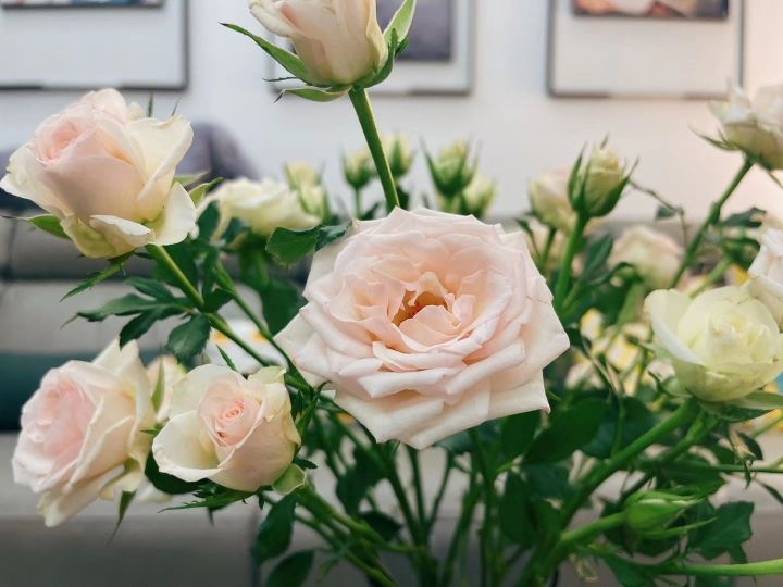 Aieaieaie Restaurant餐厅图片