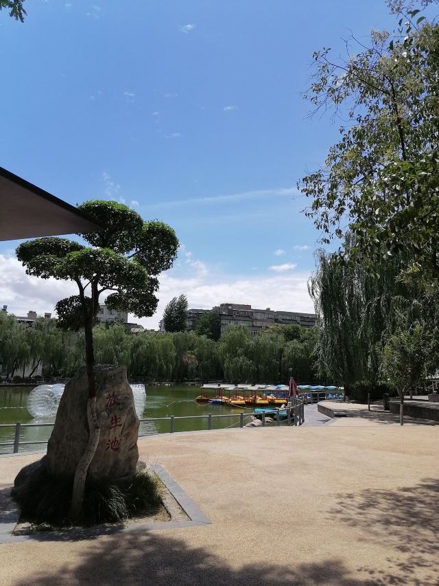 莲湖公园旅行图片 3