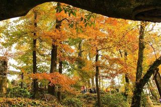 实拍天目山都喜天丽酒店,在临安感受泰式风情